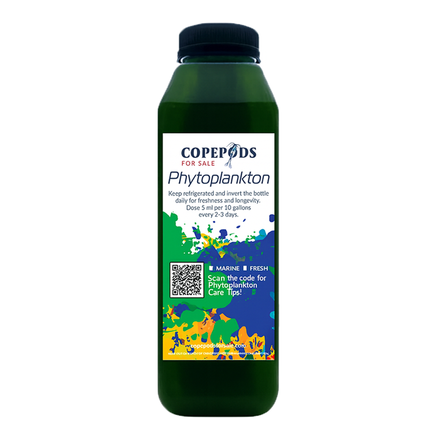 Premium Phytoplankton Tetra – 32oz