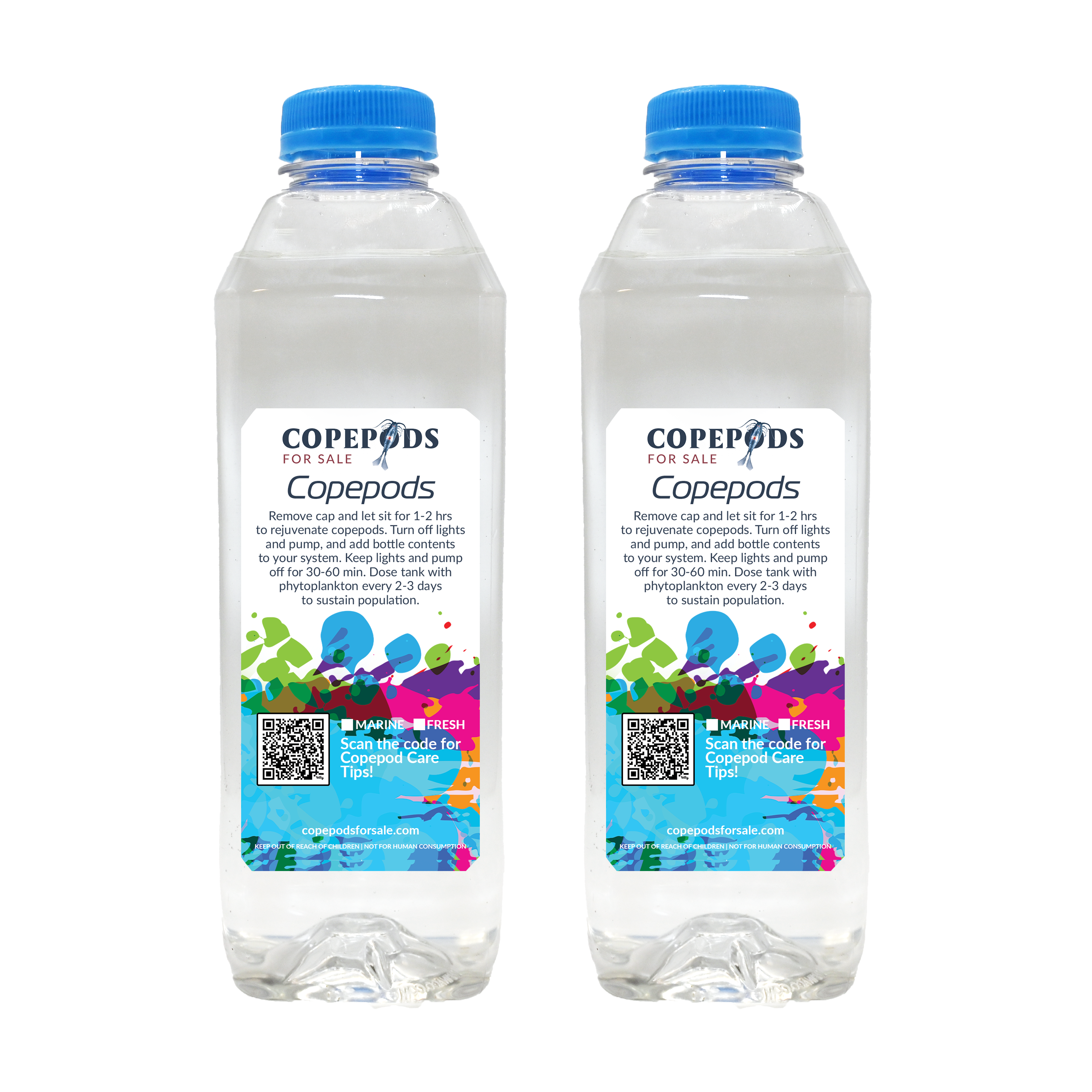 1/2 Gal Copepods – With phyto in bottle, 5 Species!