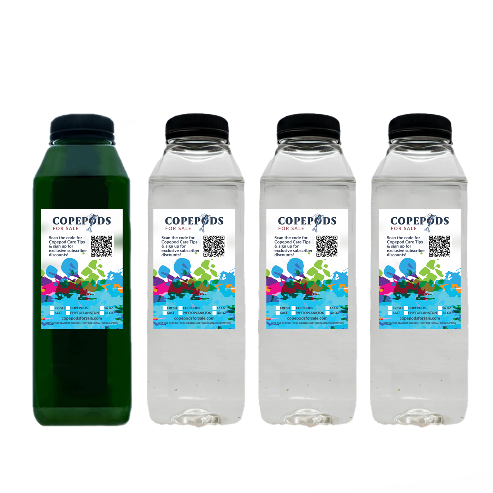 3 Bottles Of Copepods TISBE