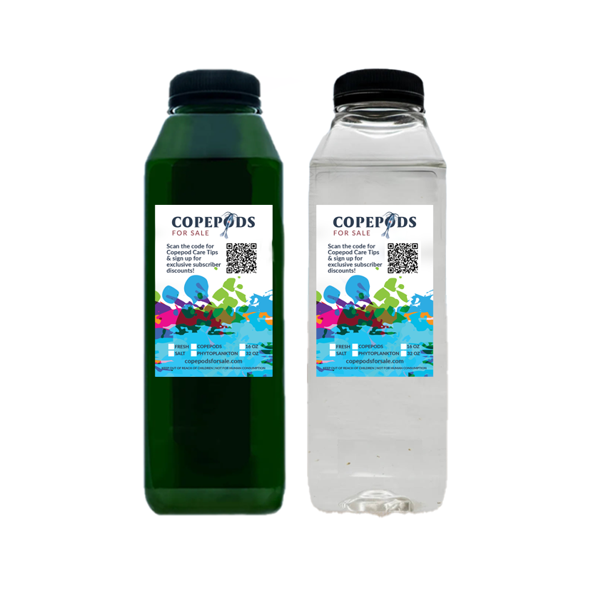 5 Species Copepod 16oz / Phytoplankton 16oz Combo