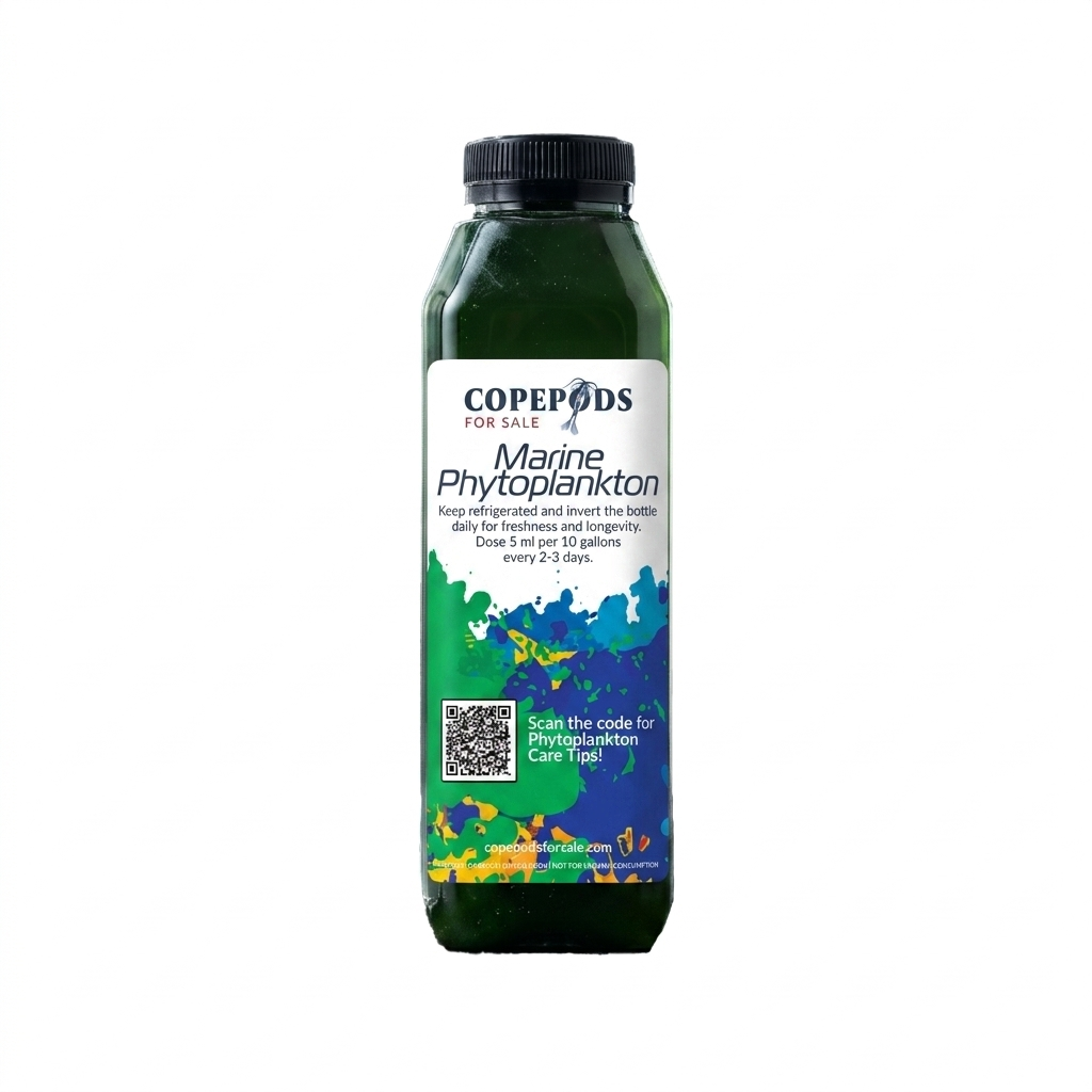 Phytoplankton 16oz | Dense Fresh Culture, 6 Species Blend