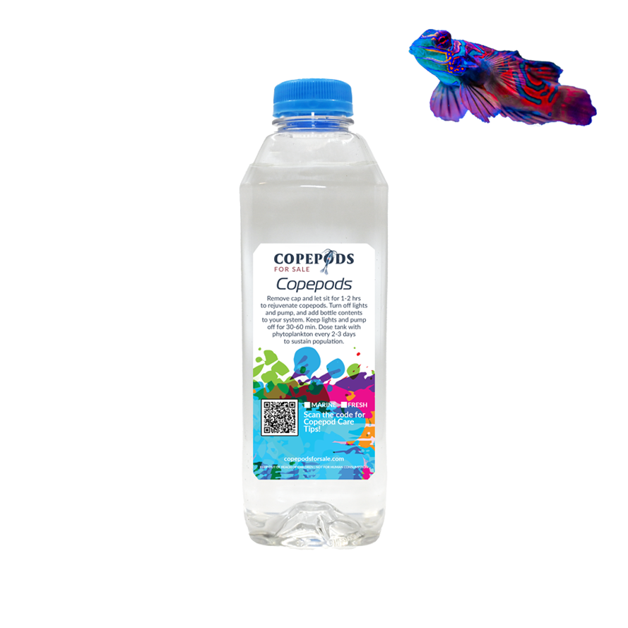 Mandarin Goby Copepod Mix | 5 Species Blend (Tig, Tisbe, Apo, Oithona, Euterpina)