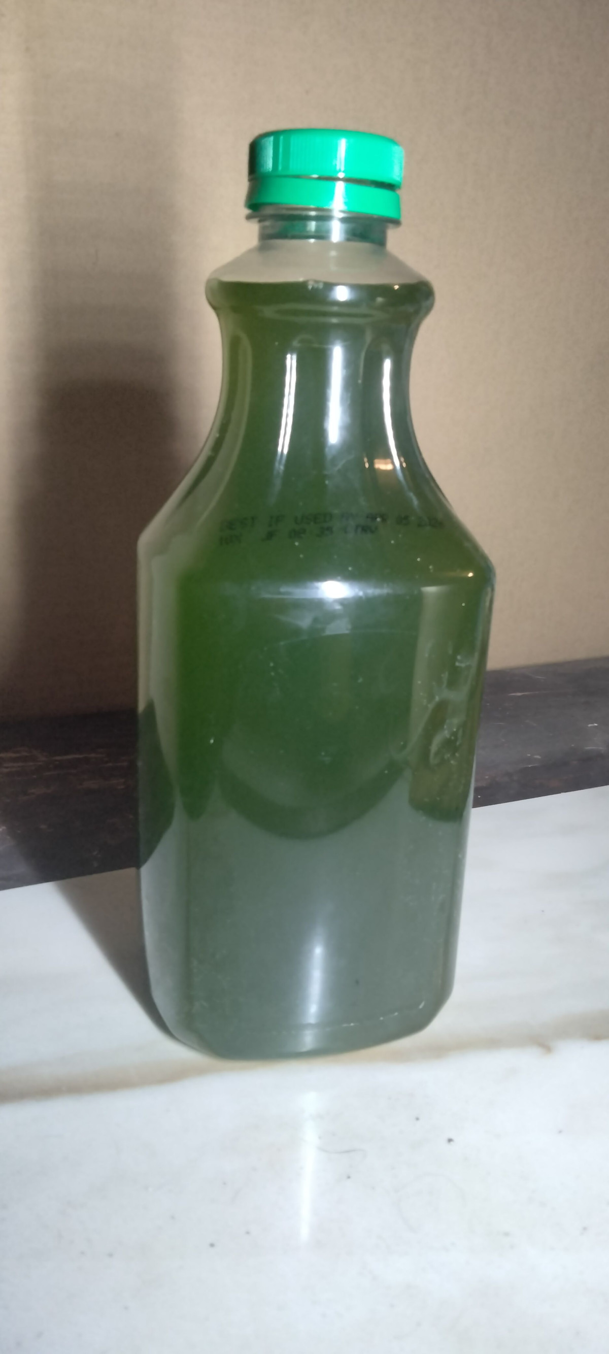 Live Phytoplankton (1/2 gallon)