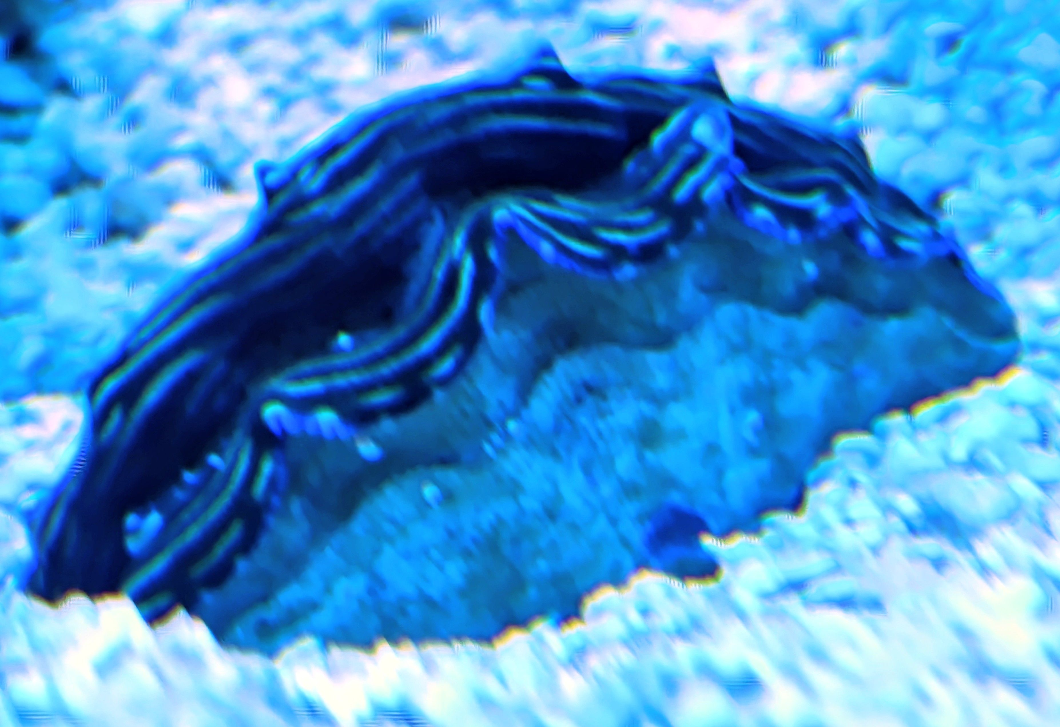 Comment image